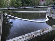 Öl auf Gewässer
